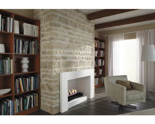 Living cu șemineu, biblioteci și fotoliu