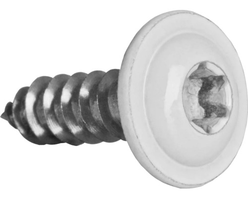 Șuruburi pentru tablă cu cap semibombat Torx Dresselhaus 4,8x16 mm oțel inox A2 alb, 100 bucăți