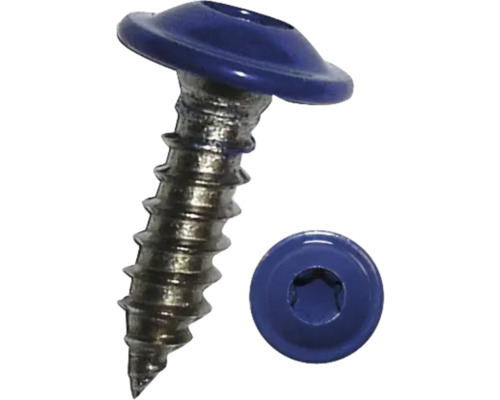 Șuruburi pentru tablă cu cap semibombat Torx Dresselhaus 4,8x19 mm oțel inox A2 albastru, 100 bucăți