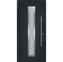 Ușă de intrare cu inserție de sticlă și bară de mâner