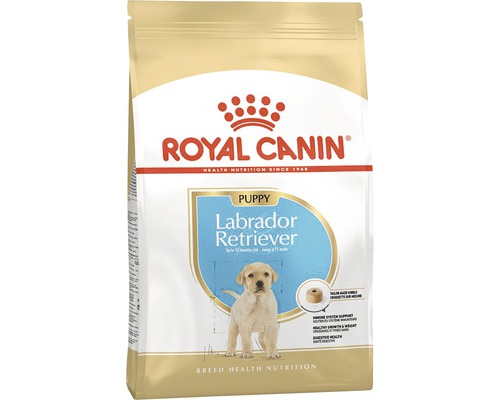 Royal canin hot sale junior labrador