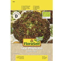 Bio FloraSelf Semințe salată creaţă roşie-thumb-0