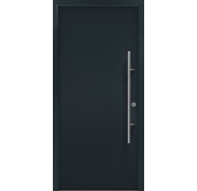 Ușă de intrare cu mâner din oțel inoxidabil