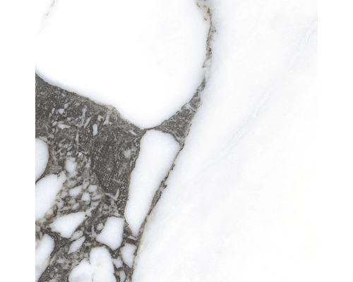 Prim-plan cu o faianță de marmură albă cu vinișoare gri