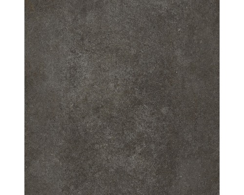 Placă de podea închisă la culoare cu suprafață mată pentru interior