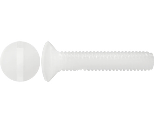 Șuruburi metrice cu cap semibombat drept Dresselhaus 3x10 mm DIN964 plastic alb, 100 bucăți