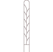 Spalier Clematis cu linii H 150 cm maro-thumb-1