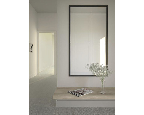 Hol cu oglindă, raft și decorațiuni