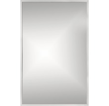 Oglindă baie dreptunghiulară Cordia BRW Line 65x80 cm ramă argintie
