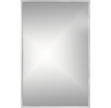 Oglindă baie dreptunghiulară Cordia BRW Line 65x120 cm ramă argintie