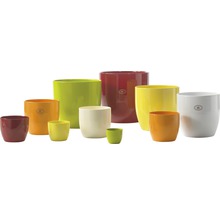 Ghivece de flori ceramice în diferite culori și dimensiuni