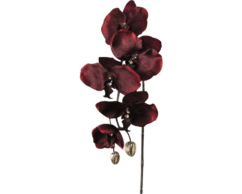 Floare artificială ramură orhidee Velvet H 68 cm bordo