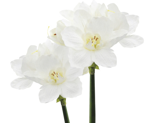 Doi narcisi artificiali cu flori albe