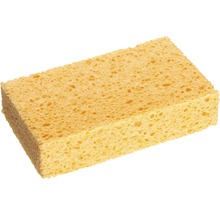 Burete galben