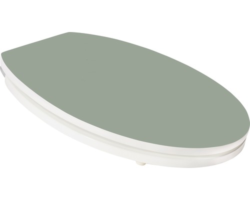 Capac de toaletă din plastic