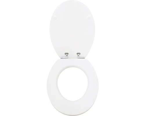 Scaun de toaletă din plastic cu capac, deschis