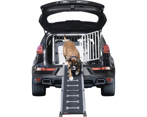 Câinele urcă pe o rampă pentru câini în portbagajul unei mașini cu cușcă pentru câini.