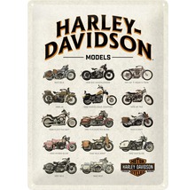 Tablou metalic decorativ Harley Models 30x40 cm-thumb-0