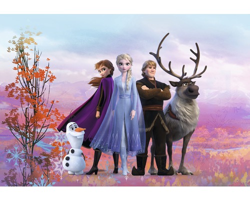 Fototapet hârtie SD4103 Disney Edition 4 Disney Frozen Iconic 368x254 cm
