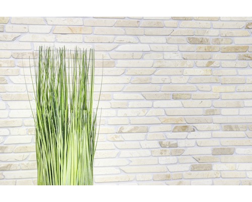 Tulpini verzi decorative în fața unui perete de piatră