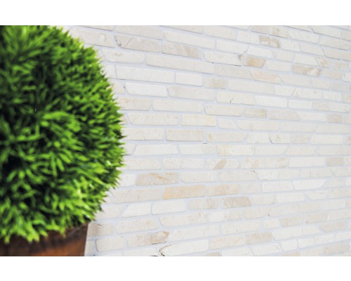 Decor de perete cu decor de piatră și plantă