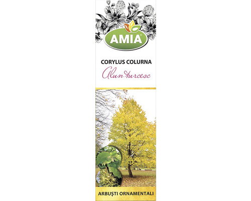 Etichetă de pom AMIA Corylus colurna
