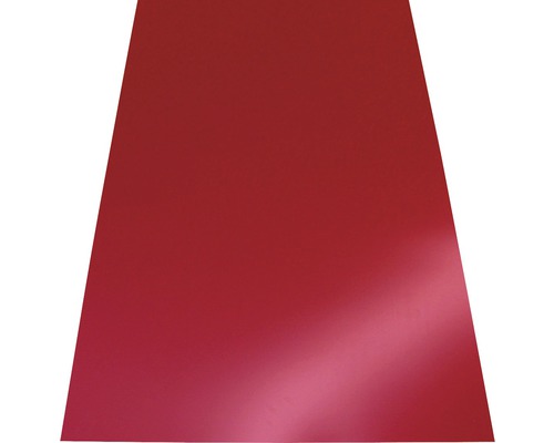 Tablă de coș Bravo pentru toate tipurile de acoperiș 0,45x1000x1250 mm roșu