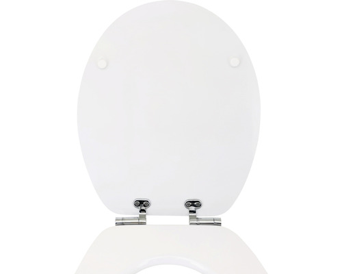 Capac de toaletă cu balamale din oțel inoxidabil