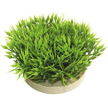 Plantă din material plastic Sydeco mușchi de pădure verde, 7 cm-thumb-1
