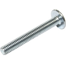Șurub cu cap bombat din metal