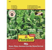 FloraSelf bandă cu semințe de salate asiatice Green Boy-thumb-2