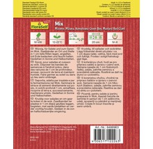 FloraSelf bandă cu semințe de salate asiatice Green Boy-thumb-3
