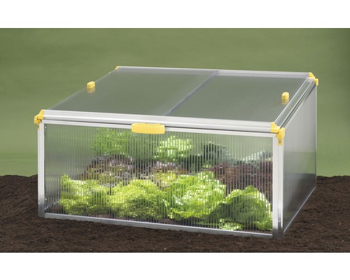 Răsadniță din plastic cu plante de legume