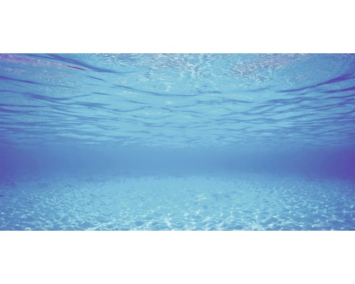 Vedere subacvatică cu fund nisipos