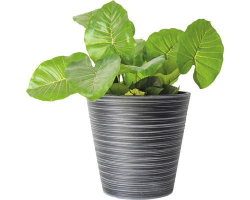 Alocasia artificială într-un vas decorativ