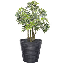Schefflera artificială în ghiveci pentru decorarea interioară