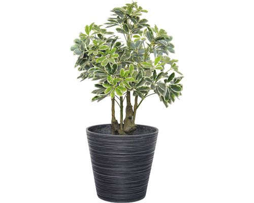 Schefflera artificială în ghiveci pentru decorarea interioară