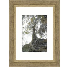Ramă foto lemn Modern stejar 9x13 cm-thumb-0