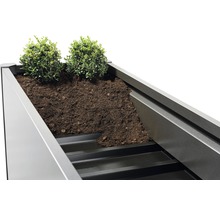 Imagine detaliată a unui jardiniere cu pământ și plante