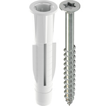 Diblă din plastic și șurub cu antrenare Torx