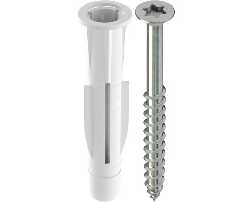 Diblă din plastic și șurub cu antrenare Torx