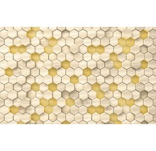 Fototapet vlies 6005A-VD4 Infinity Woodcomb Birch 400x250 cm
