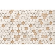 Fototapet vlies 6005B-VD4 Infinity Woodcomb Nude 400x250 cm