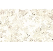 Fototapet vlies 6019A-VD4 Infinity Sheer 400x250 cm