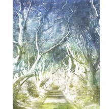 Fototapet vlies 6024A-VD2 Alley verde-albastru 200x250 cm