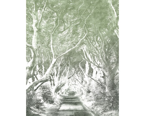 Fototapet vlies 6024B-VD2 Alley gri grafit 200x250 cm Fototapet vlies 6024B-VD2 Alley gri grafit 200x250 cm