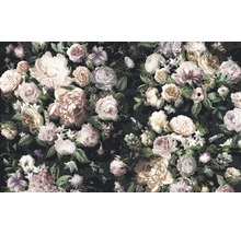 Fototapet vlies 6035A-VD4 Victoria Black 400x250 cm