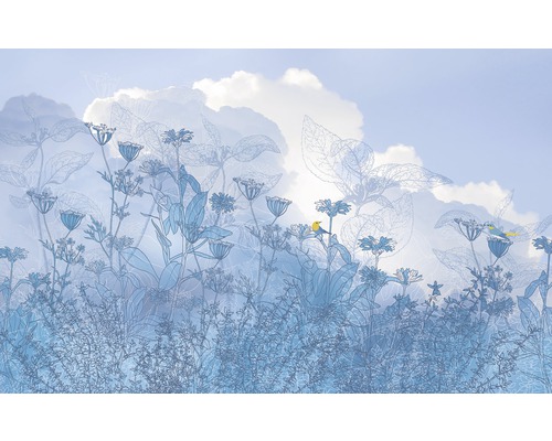 Fototapete Vlies 6041A-VD2 Blue Sky 200x250 cm