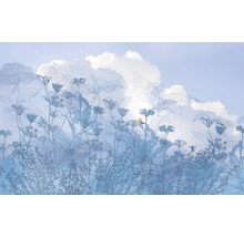Fototapete Vlies 6041A-VD4 Infinity Blue Sky 400x250 cm