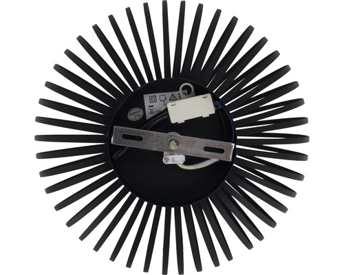 Lumină de plafon cu lamele și dispozitiv de montare